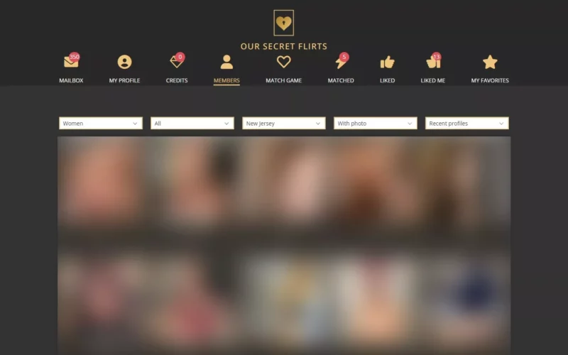 Review OurSecretFlirts.com member area