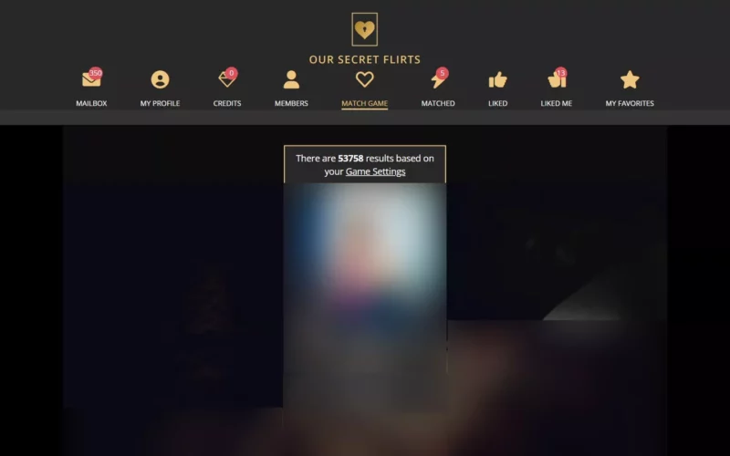 Review OurSecretFlirts.com special feature
