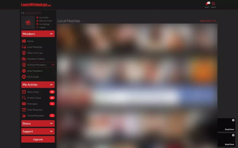 Review LonelyWifeHookups.com member area