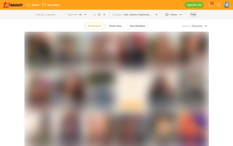 Review BeNaughty.com member area
