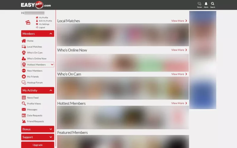 Review EasySex.com member area