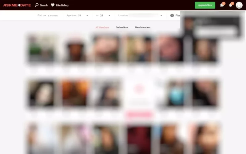 Review AskMe4Date.com member area