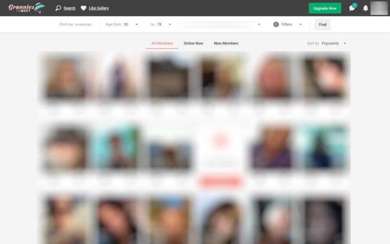 GranniesToMeet.com member area EN