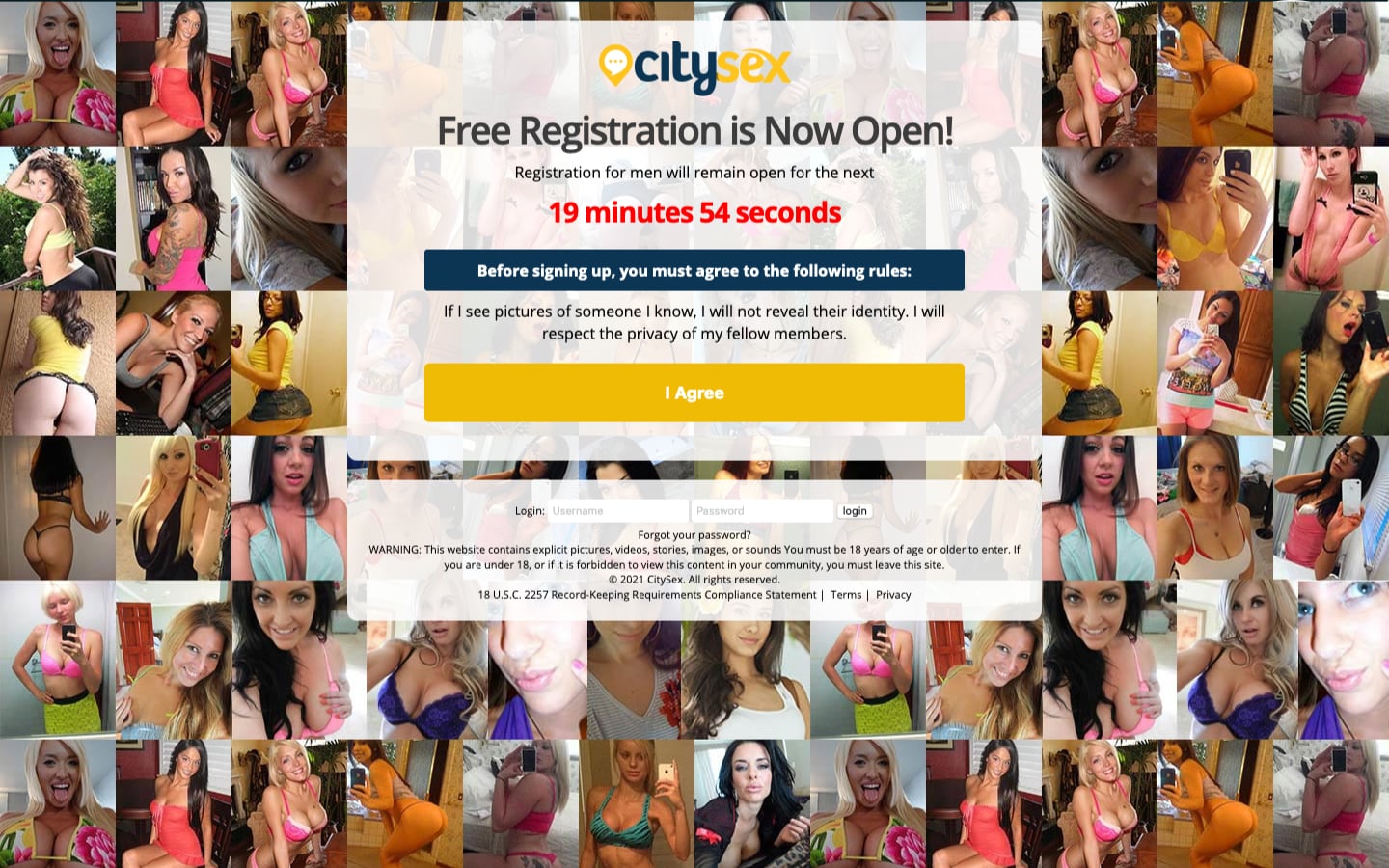 Review CitySex.com scam