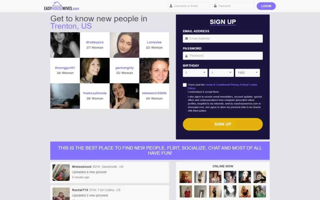 Review EasyHousewives.com landing page