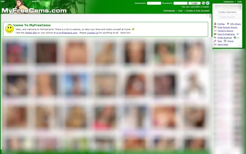 Review EasyHousewives.com live cams feature