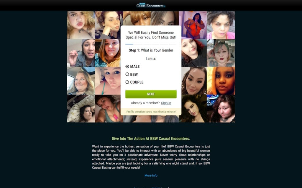 Review bbwcasualencounters