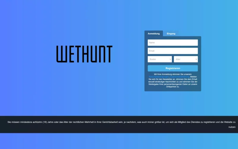 Review WetHunt.com landig page