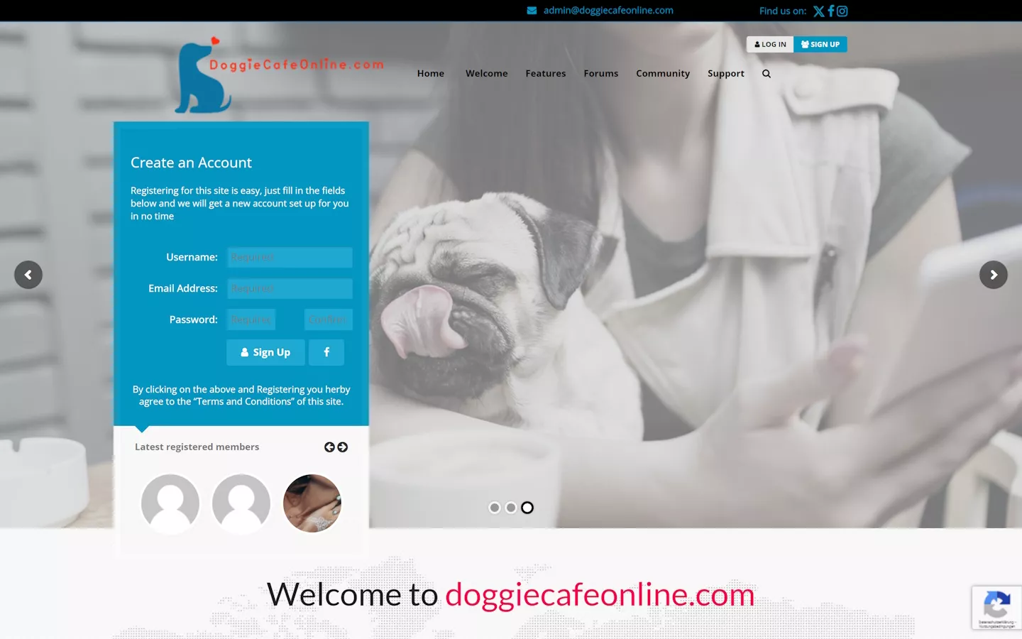 Review doggiecafeonline