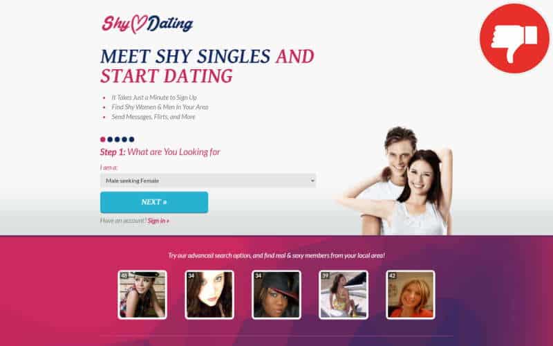 Review ShyDating.org Fake Chat