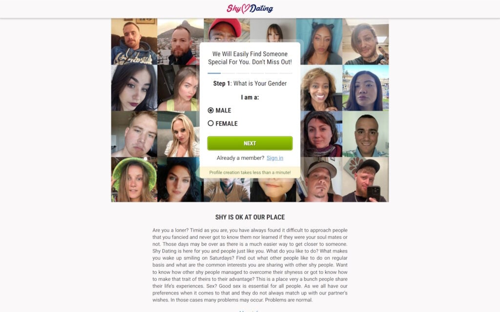 Review shydating.org