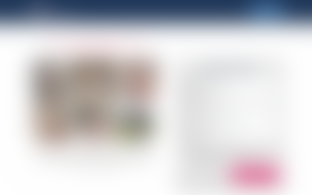 usabangpalace.com landing page