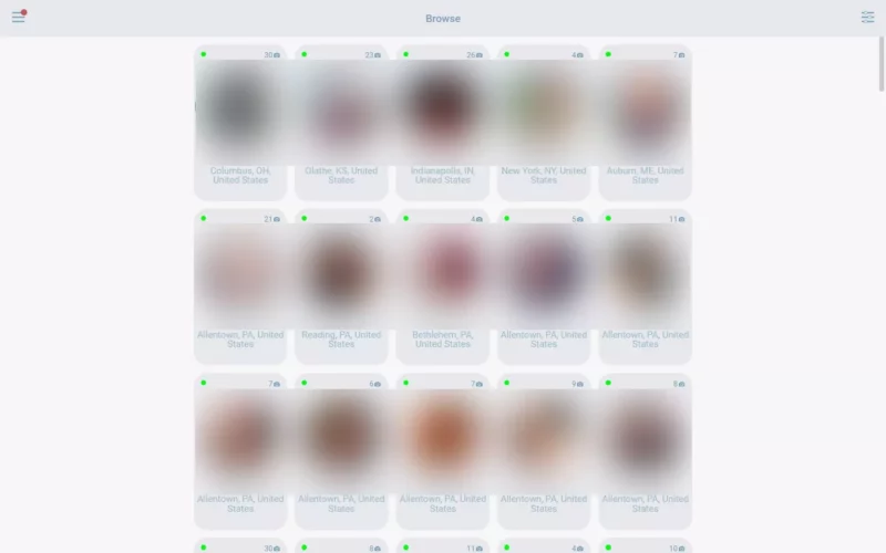 Review Net-Flings.com member area