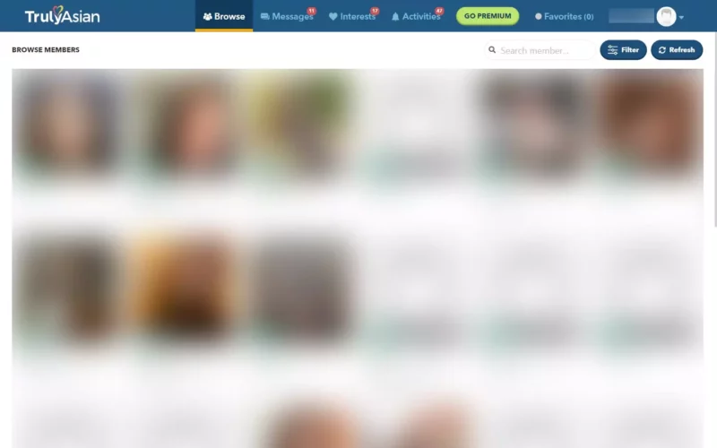 Review TrulyAsian.com member area