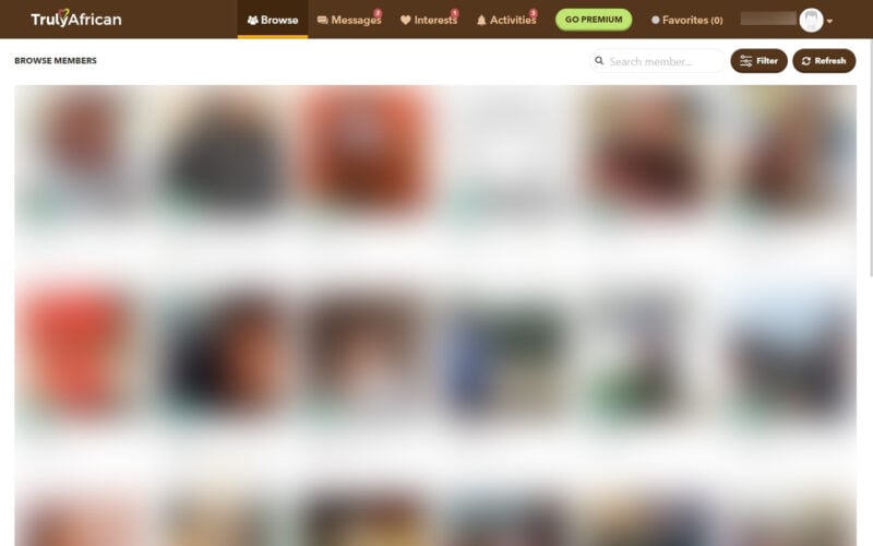 Review TrulyAfrican.com member area