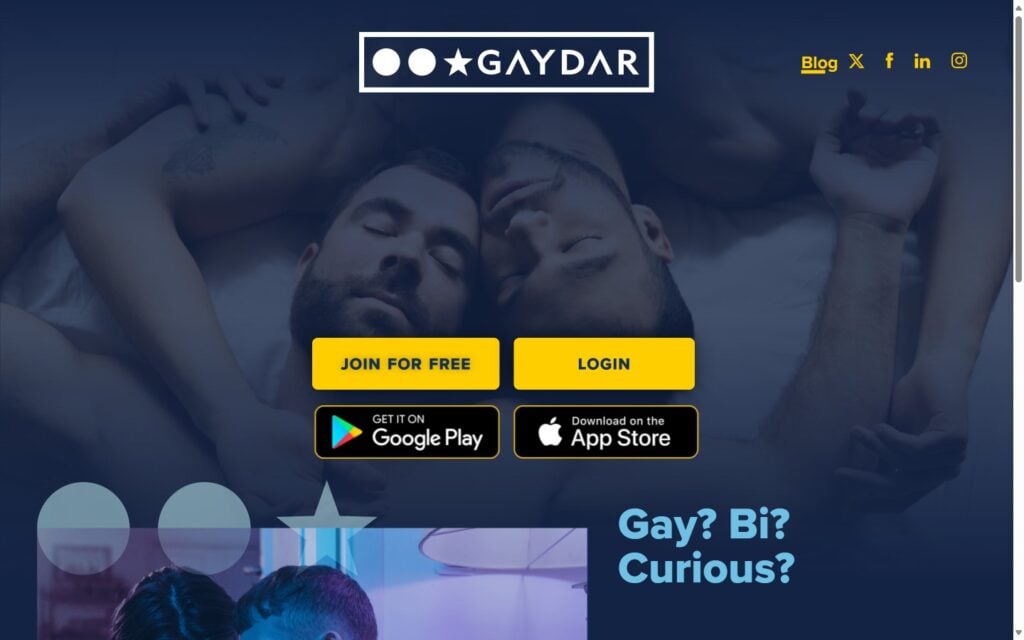 Review Gaydar.net landing page