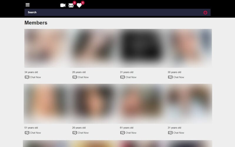 Review SpicyWives.com member area