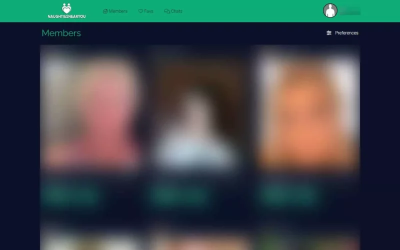 Review NaughtiesNearYou.com member area