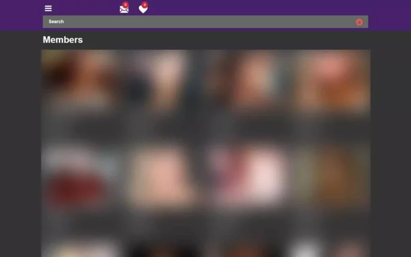 Review RabbitsMeet.com member area