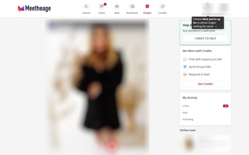 Review Meetheage.com members area