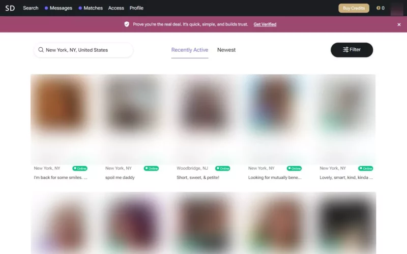 Review SugarDaddy.co.uk member area