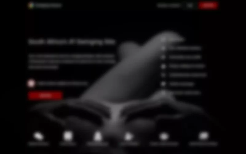 Review SwingingHeaven.za.com landing page