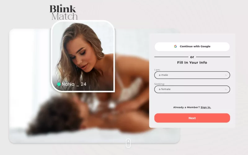 Blink-Match.com laningpage review
