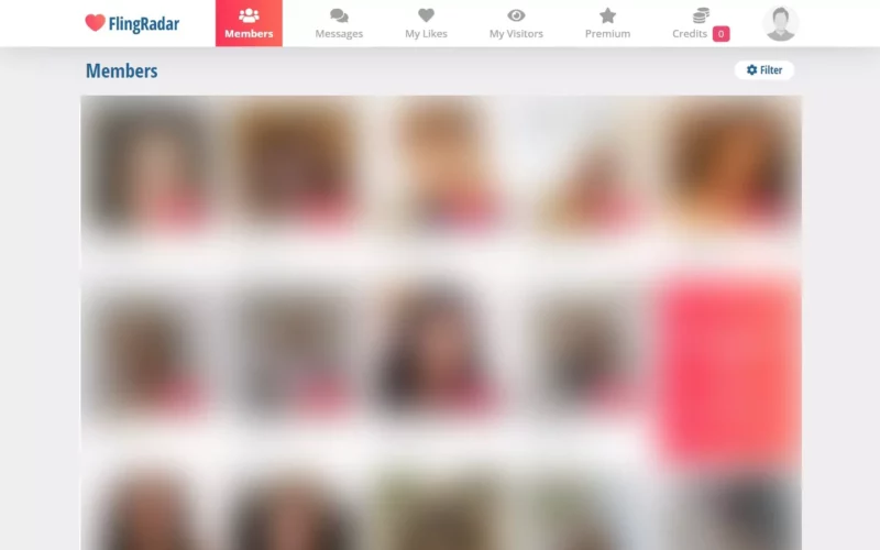 Review FlingRadar.com member area