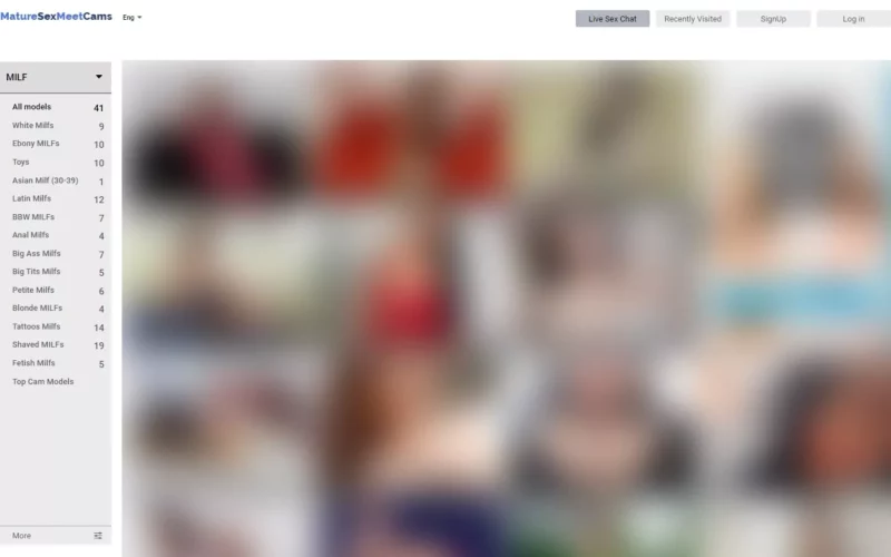 Review MatureHub.co.uk cam feature