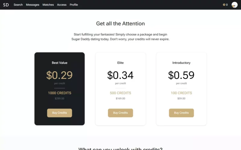 Review SugarDaddy.com costs