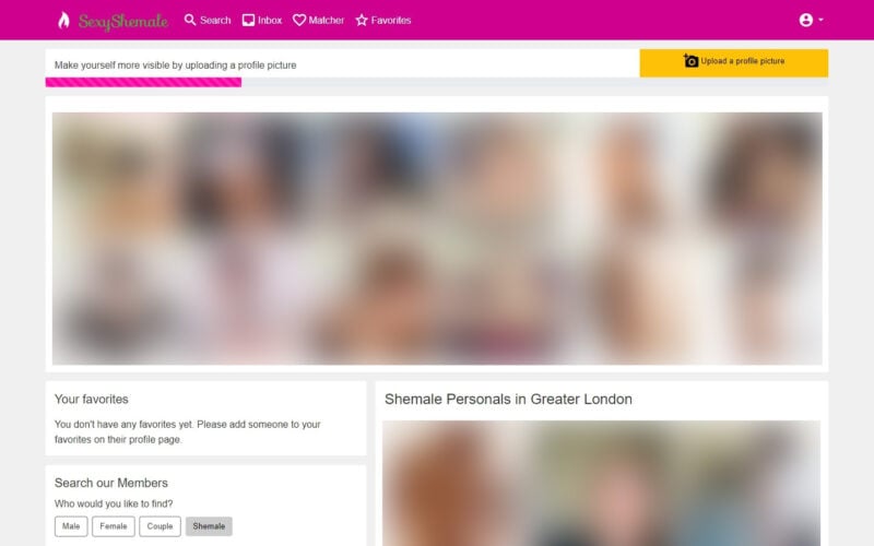 Review SexyShemale.co.uk member area