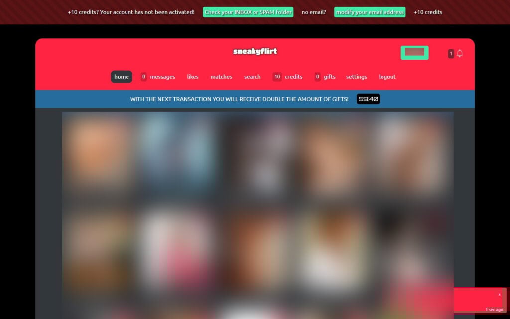 Review SneakyFlirt.com member area