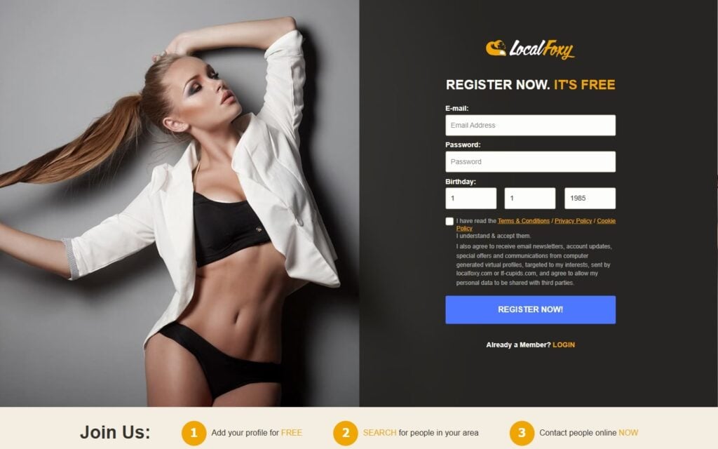Review LocalFoxy.com landing page