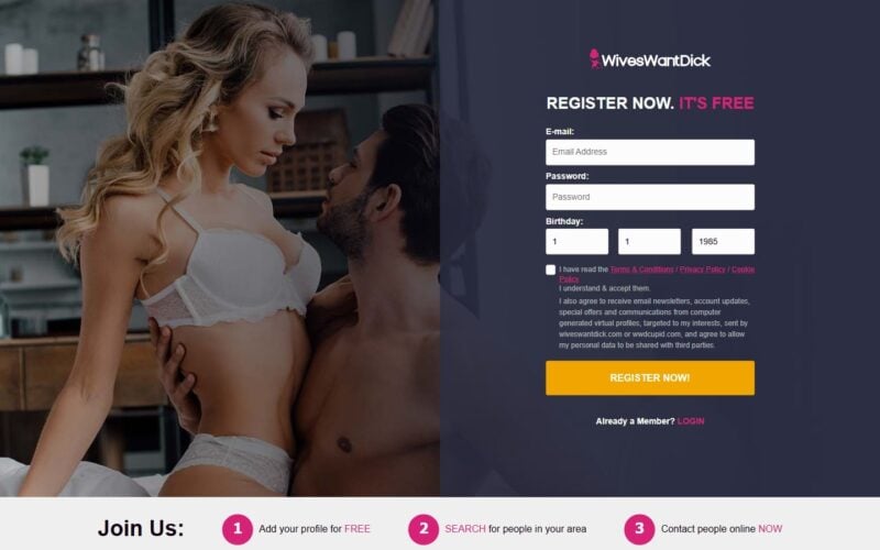 Review Wiveswantdick.com landing page