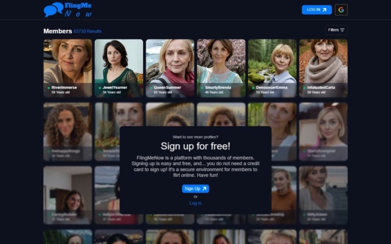 Review FlingMeNow.co.uk landing page
