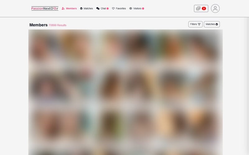 Review PassionNextDoor.com member area