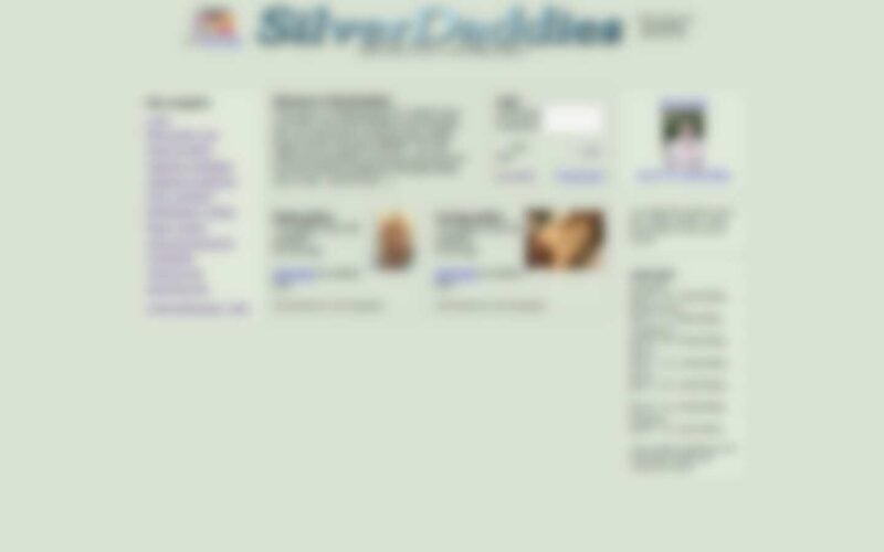 Review SilverDaddies.com landing page