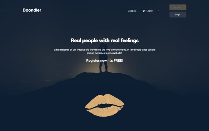 Review Boondler.com landing page