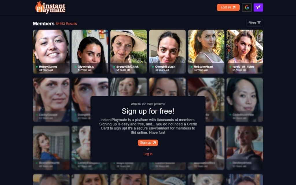 Review InstantPlaymate.com landing page