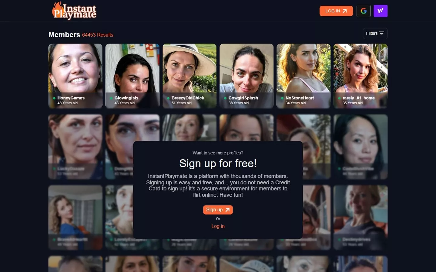 Review InstantPlaymate.com landing page